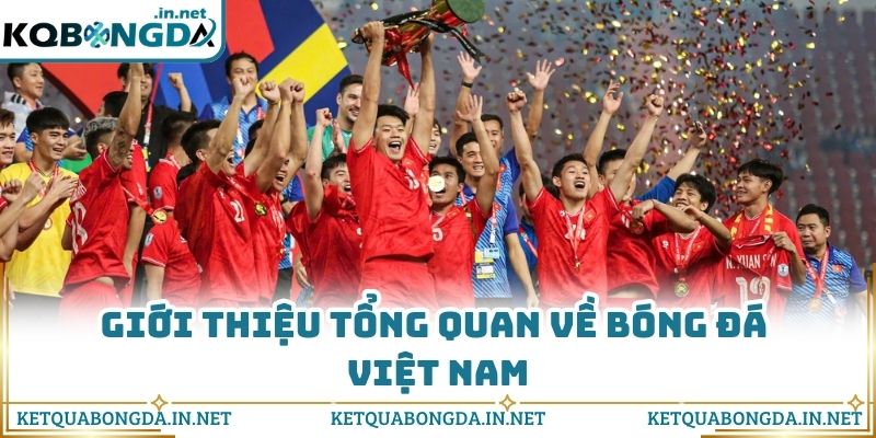Giới thiệu tổng quan về bóng đá Việt Nam